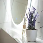 Istra Relax Sapphire Vila Rebici
