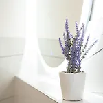 Istra Relax Sapphire Villa *