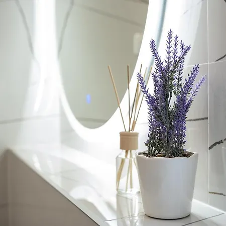 Istra Relax Sapphire Villa Rebici
